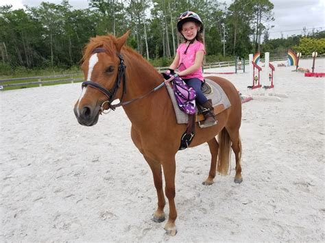 horse lessons|horseback lessons near me.